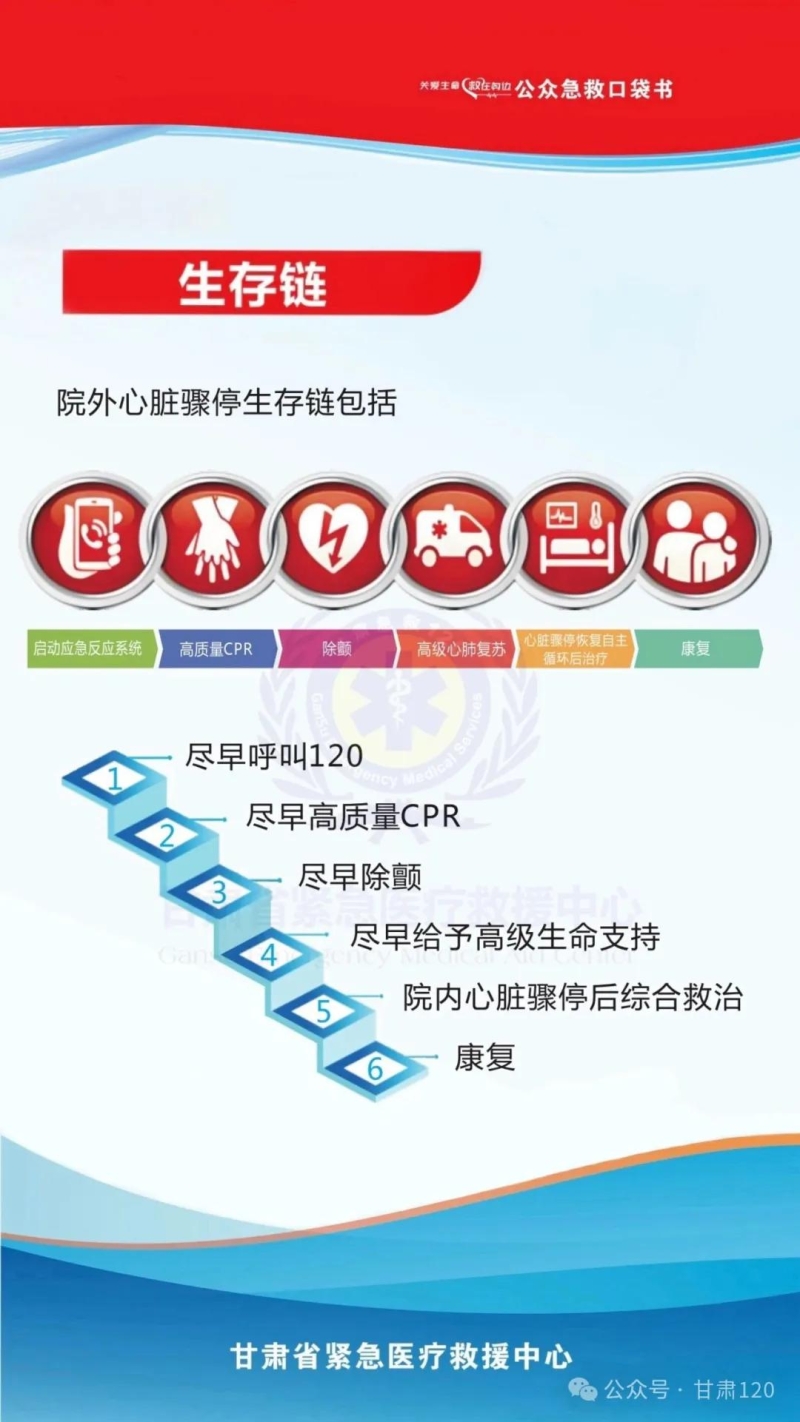 把急救知识装进口袋丨院外心脏骤停生存链